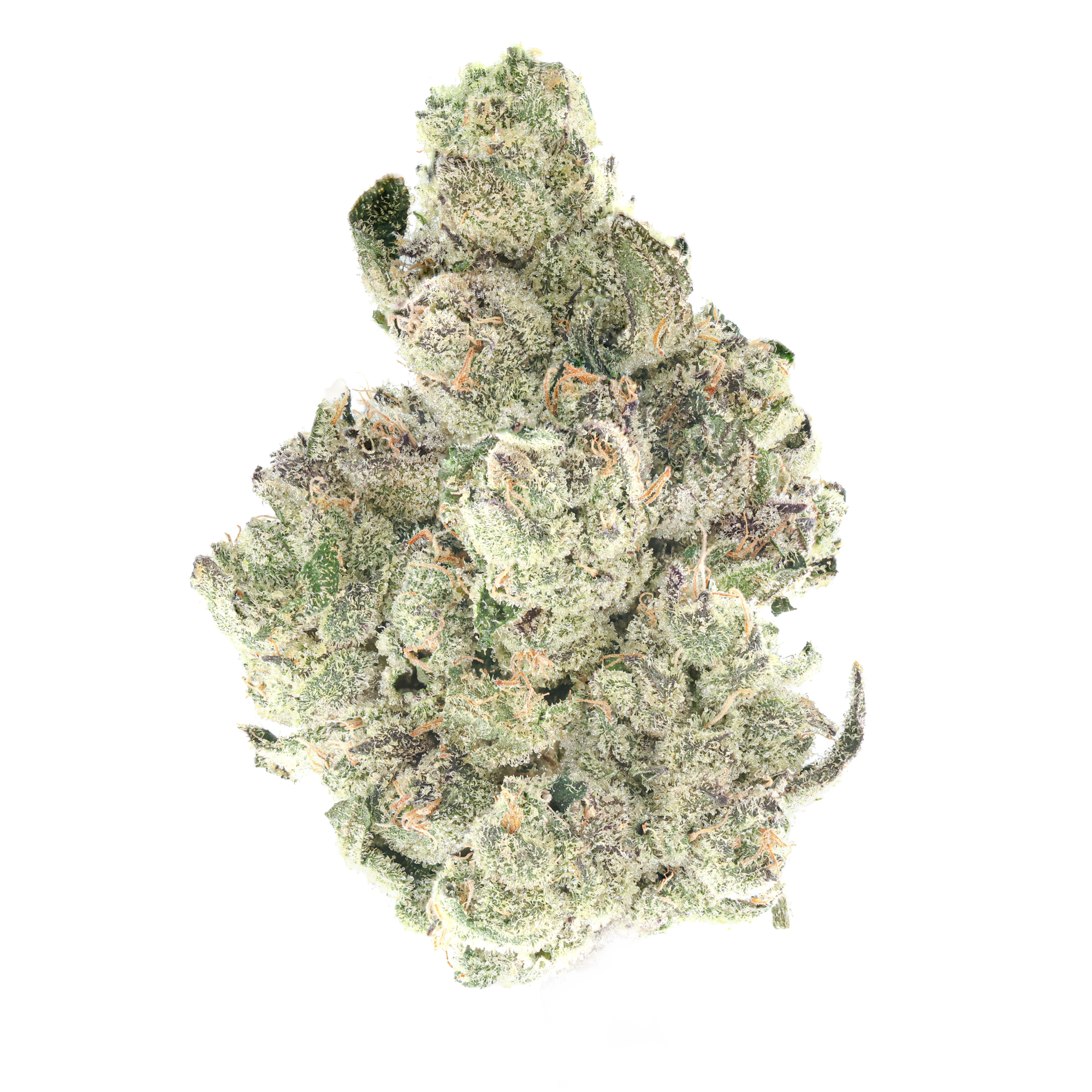 Zours