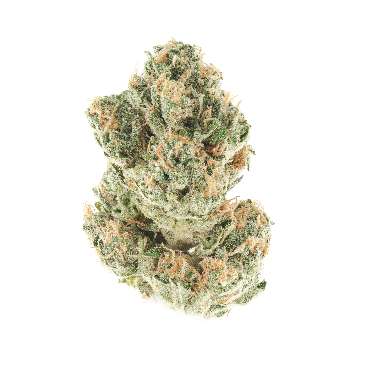 Zupernova
