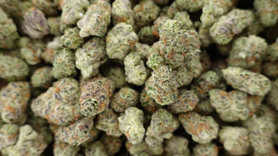 Best THCa Flower For Relaxation: Indica Strains Compared