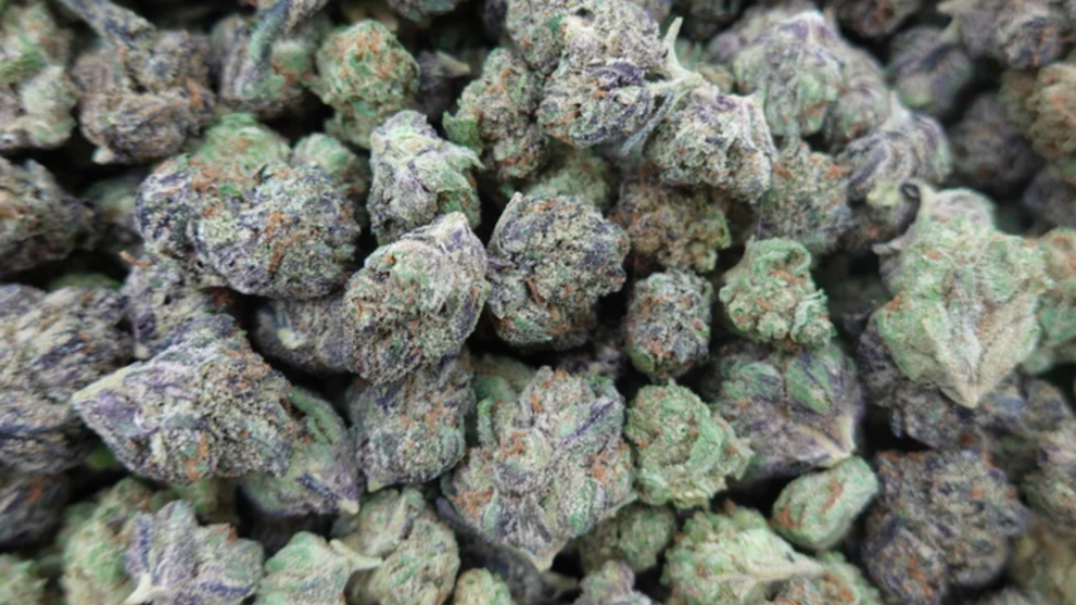 Shop THCA Flower Smalls