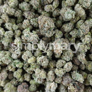 simplymary thca hello mary red velvet thca flower smalls