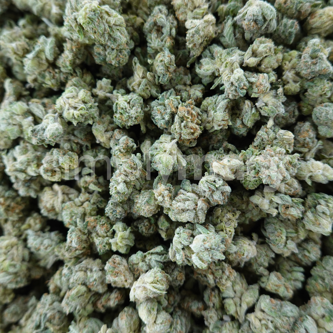 BERRY WHITE simplymary thca flower