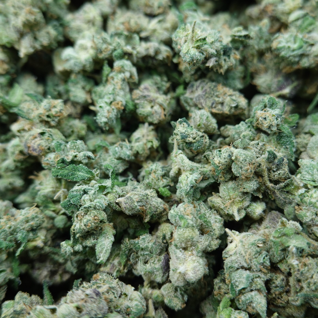 Zour Smalls – SimplyMary