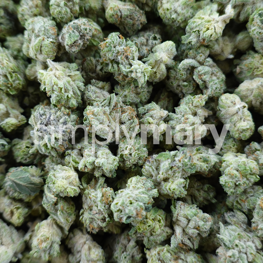 astronaut p thca smalls simply mary hello mary