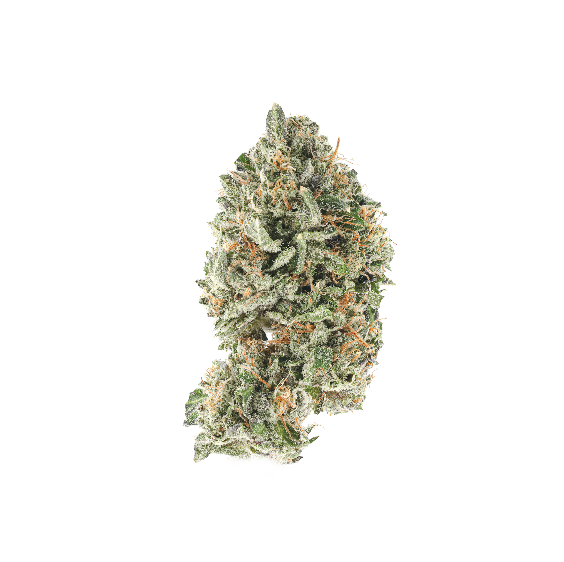 7 Lemons – SimplyMary