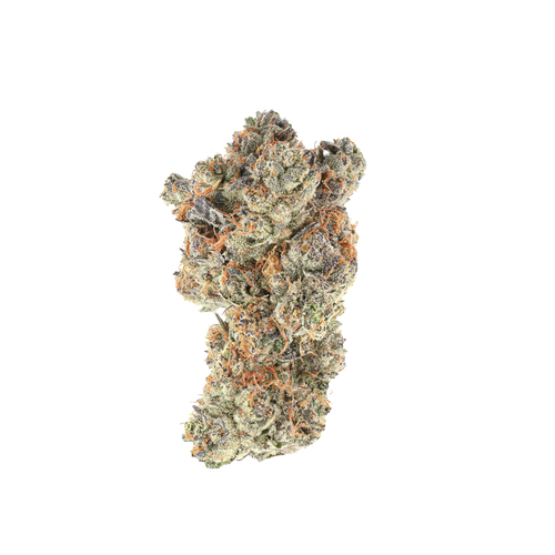 Galaxy Toad