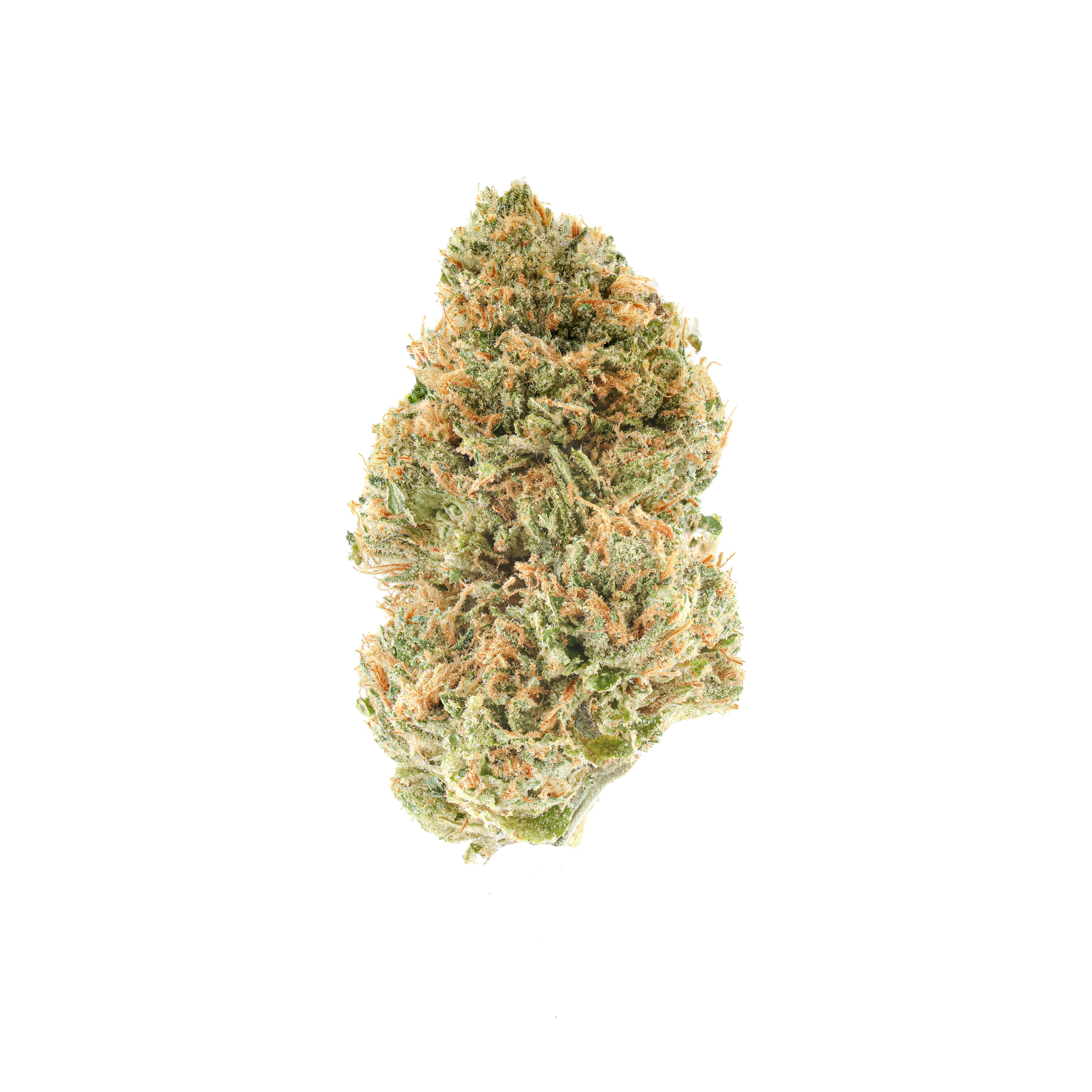 MLZ – SimplyMary
