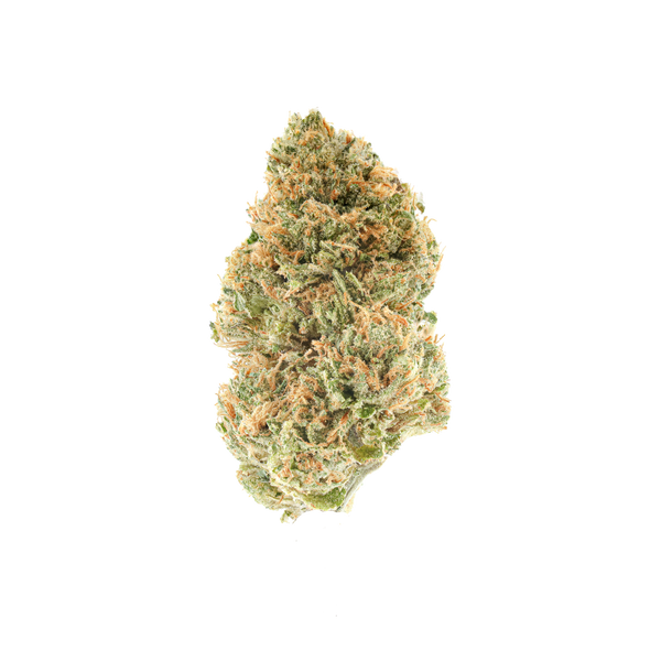 MLZ – SimplyMary