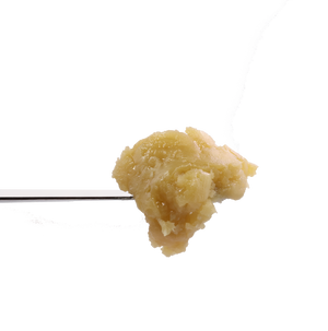 Bahama Mama Rosin SimplyMary thca