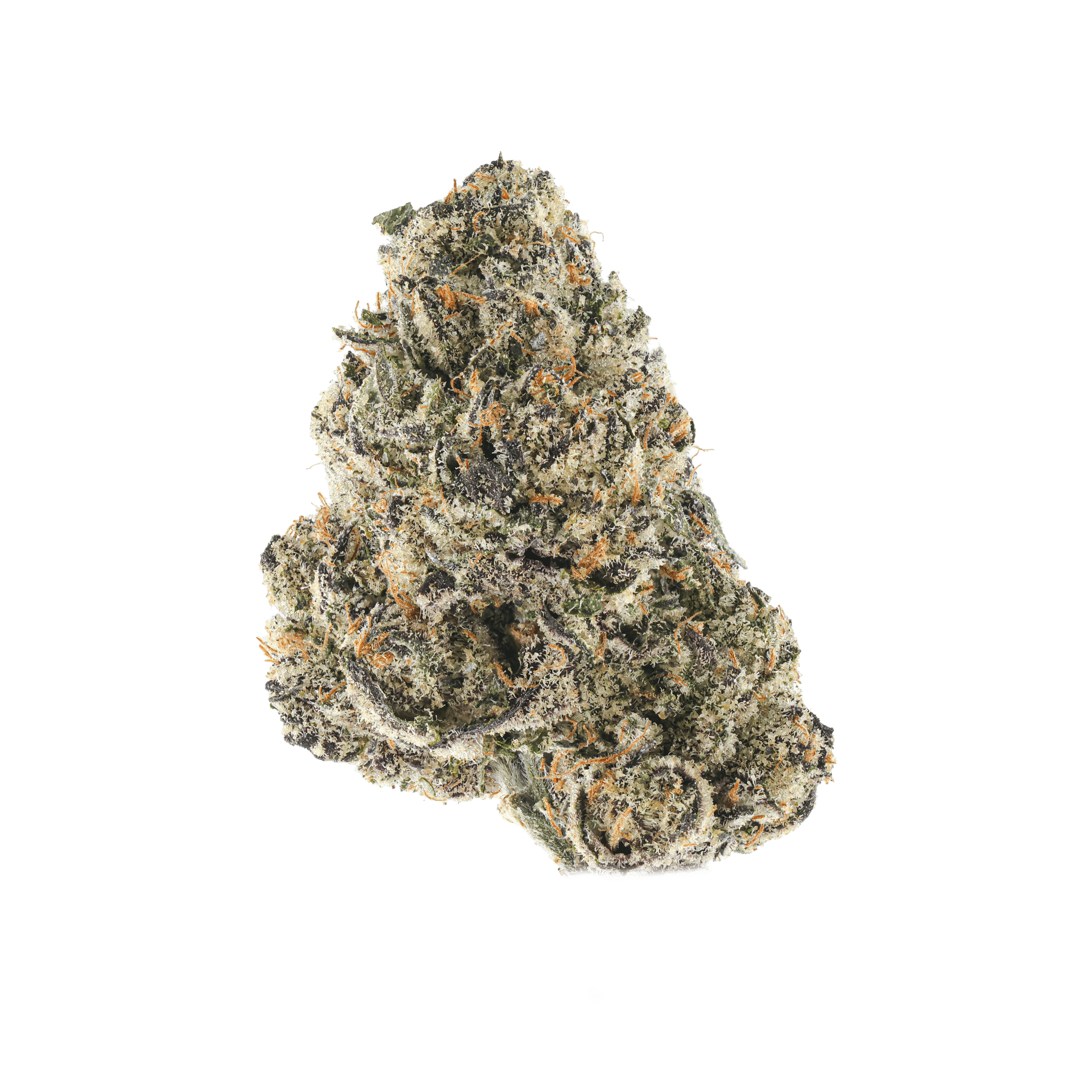 Bermuda Triangle
