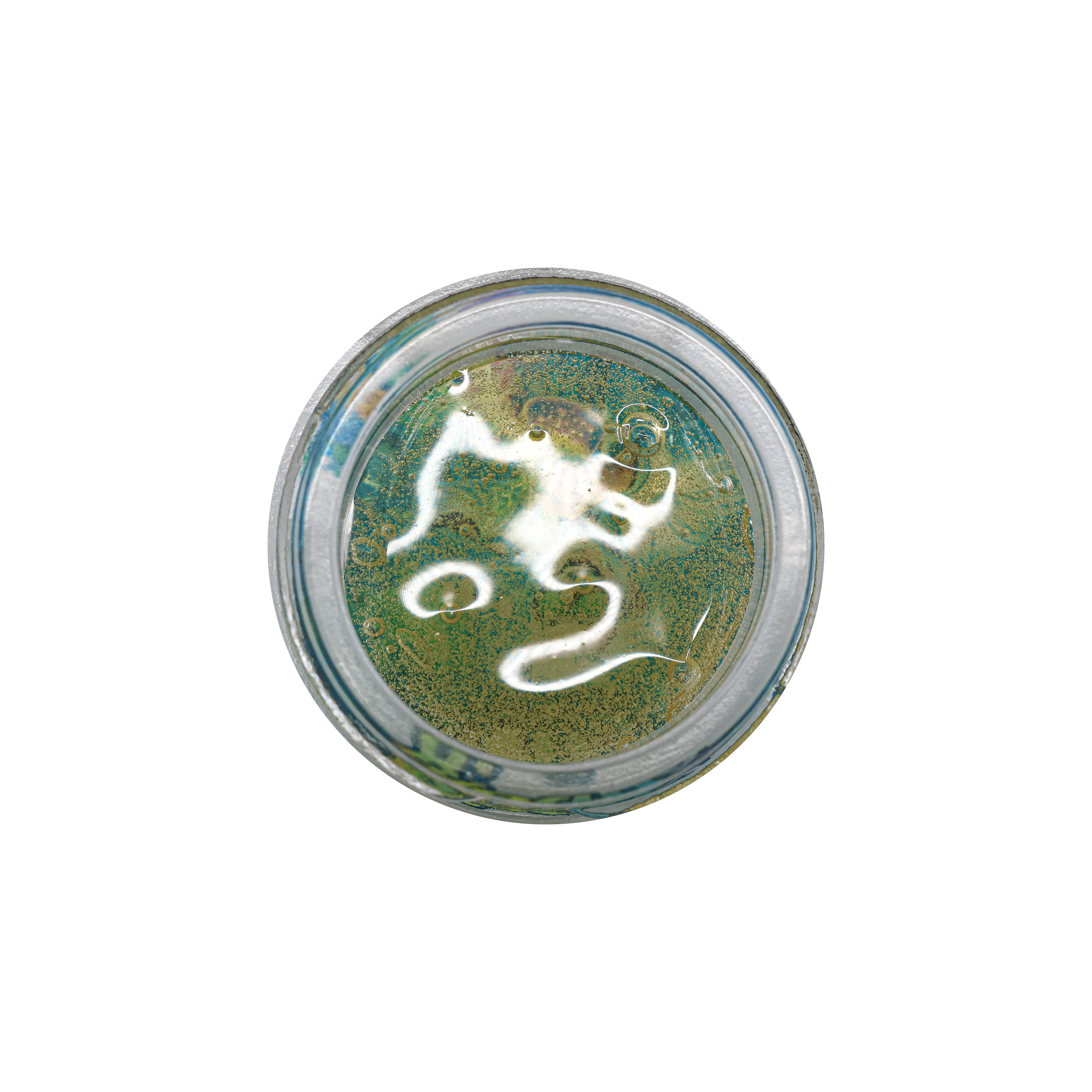 BioFlux Fresh Press