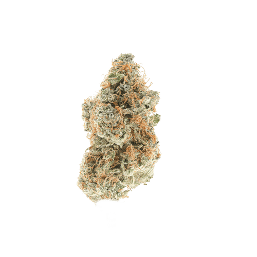 Berry Tahoe