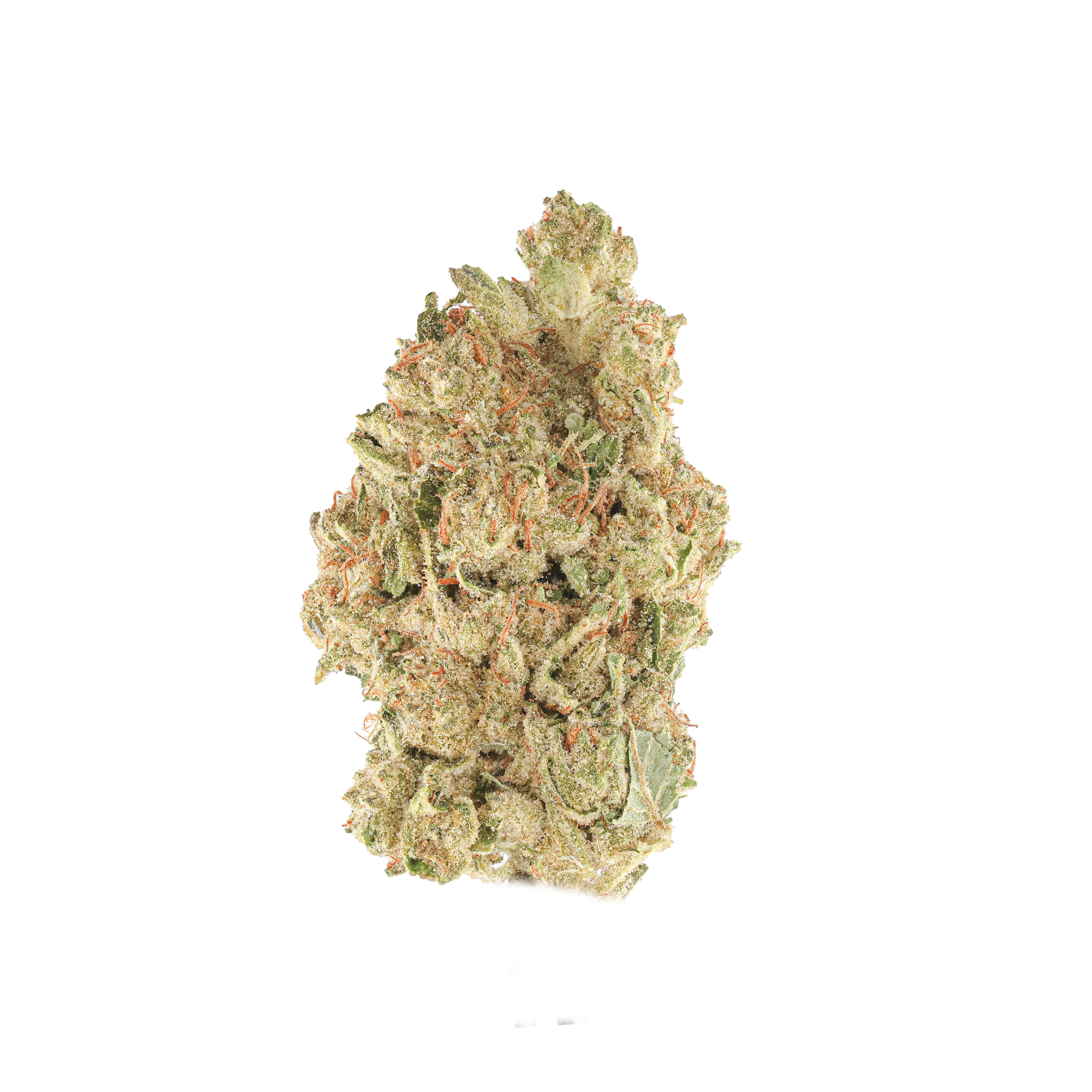Blueberry OGZ