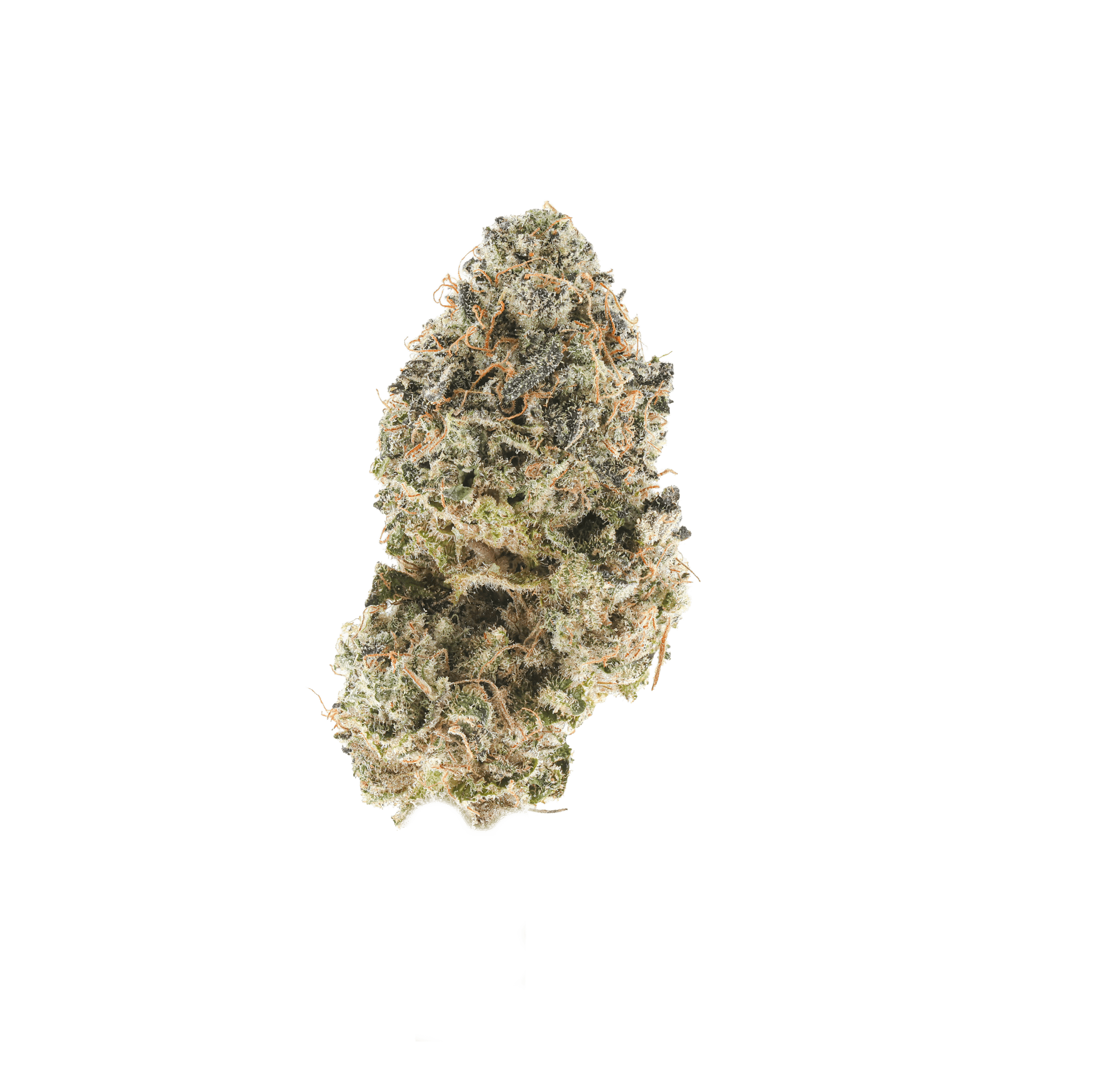 Bubblegum Zoap