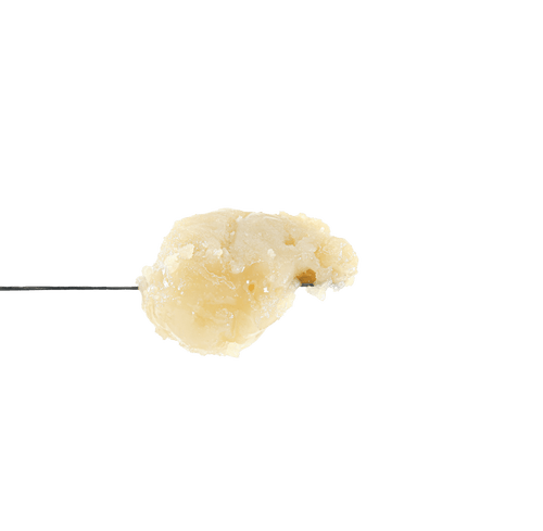 Champaya Rosin