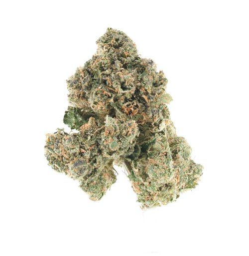 Cheerafee Coochie