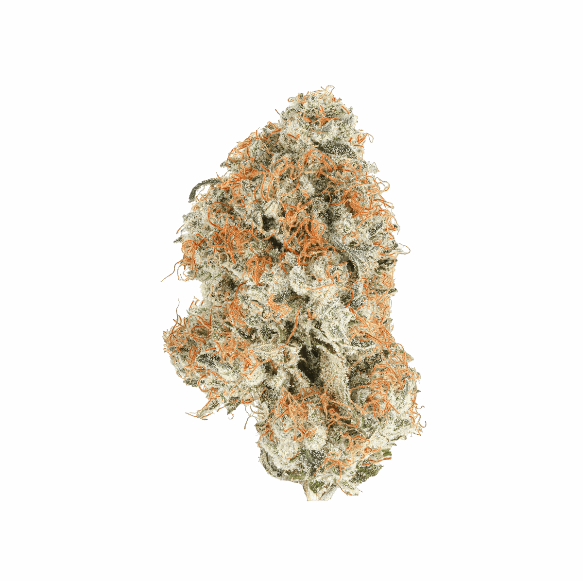 Chihuapei SimplyMary thca