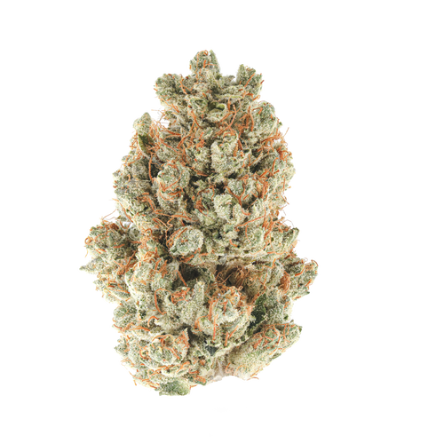 Crippy OG Kush