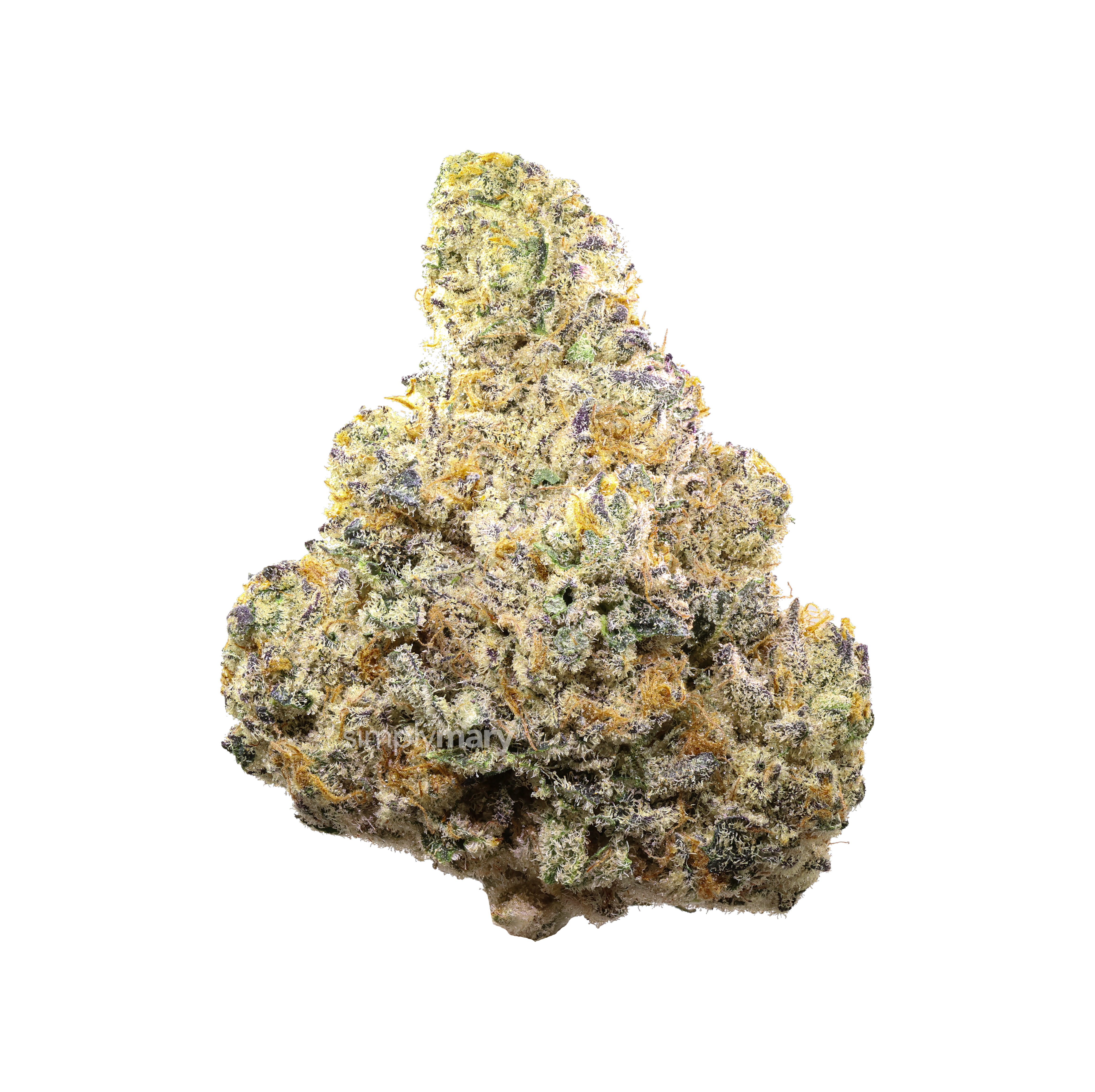 dr. j thca flower simply mary hello mary