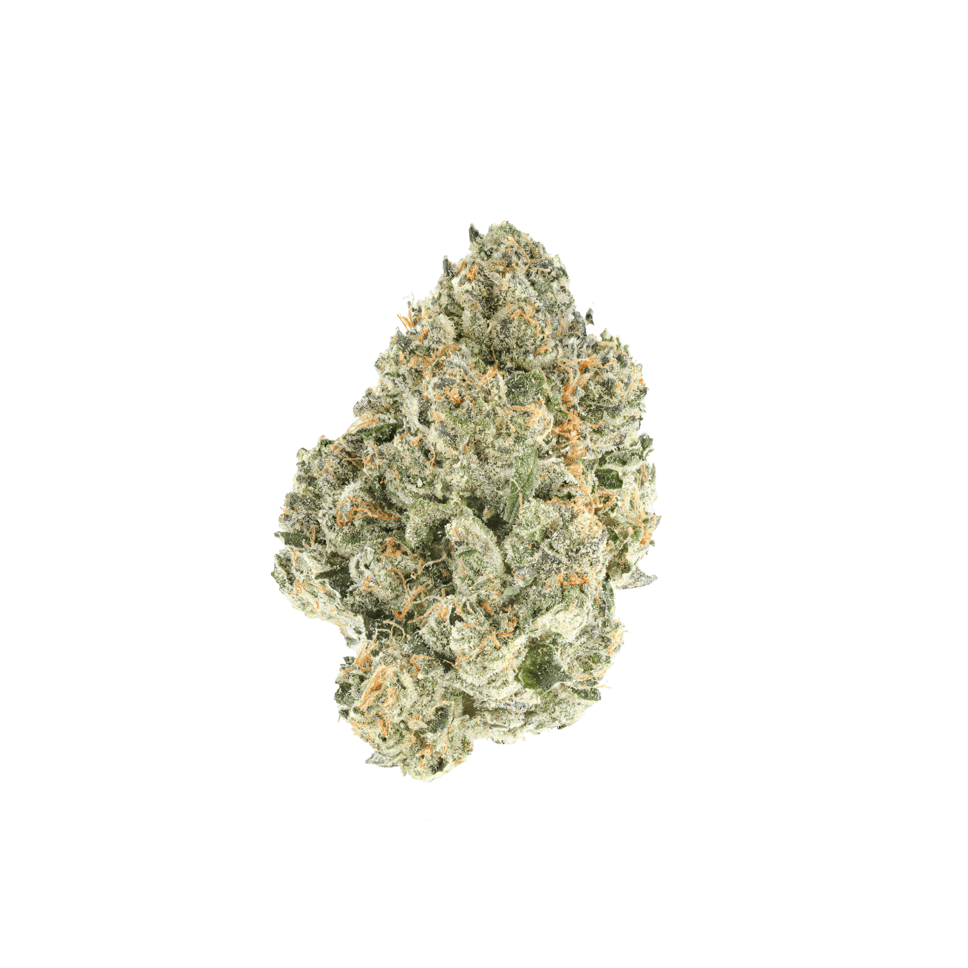 Frog Poison – SimplyMary