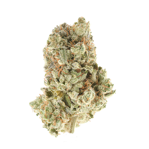 GG4