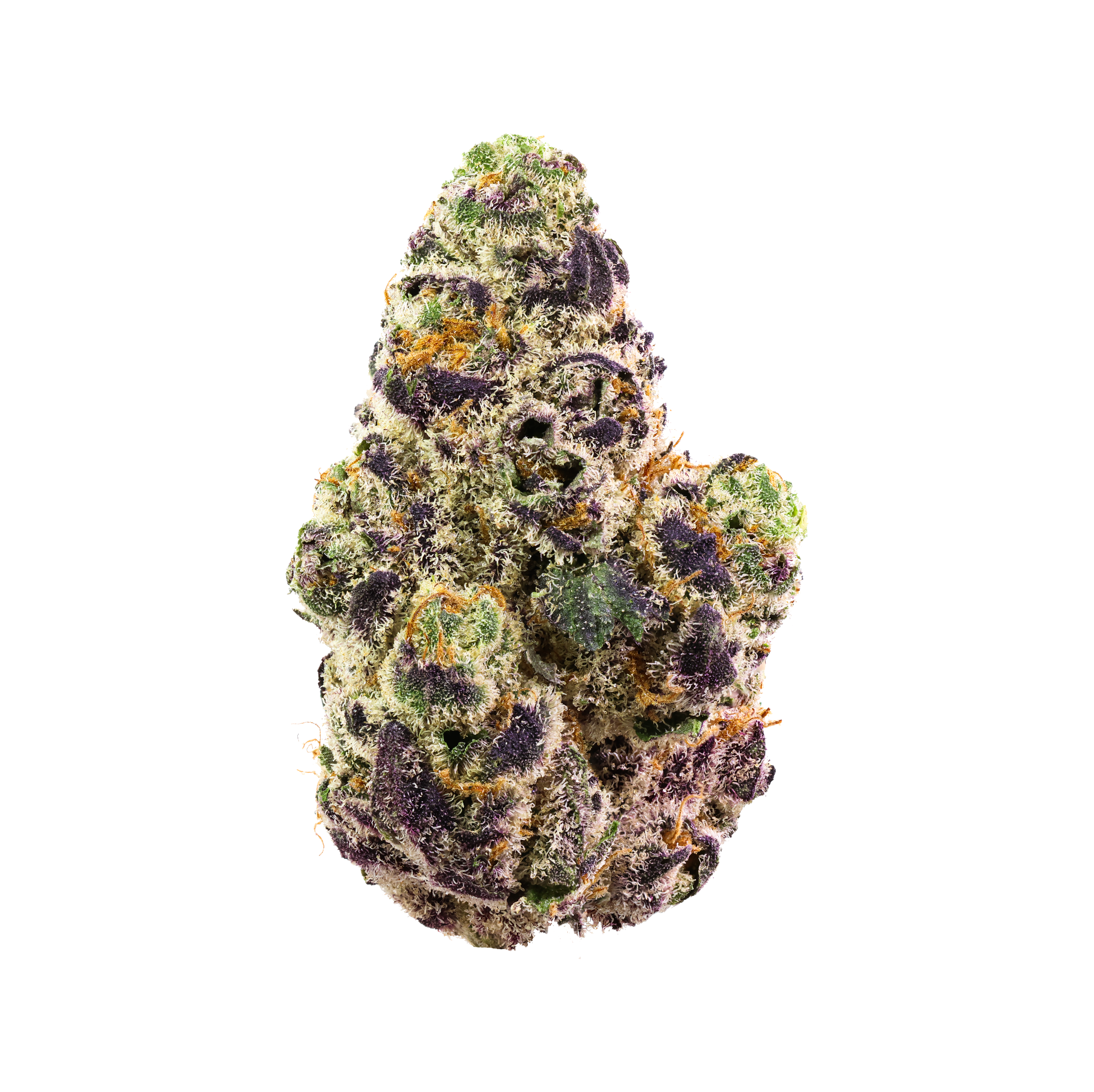 simply mary thca flower glitter bom