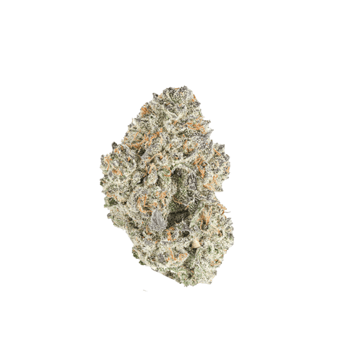 Grapefruit Z