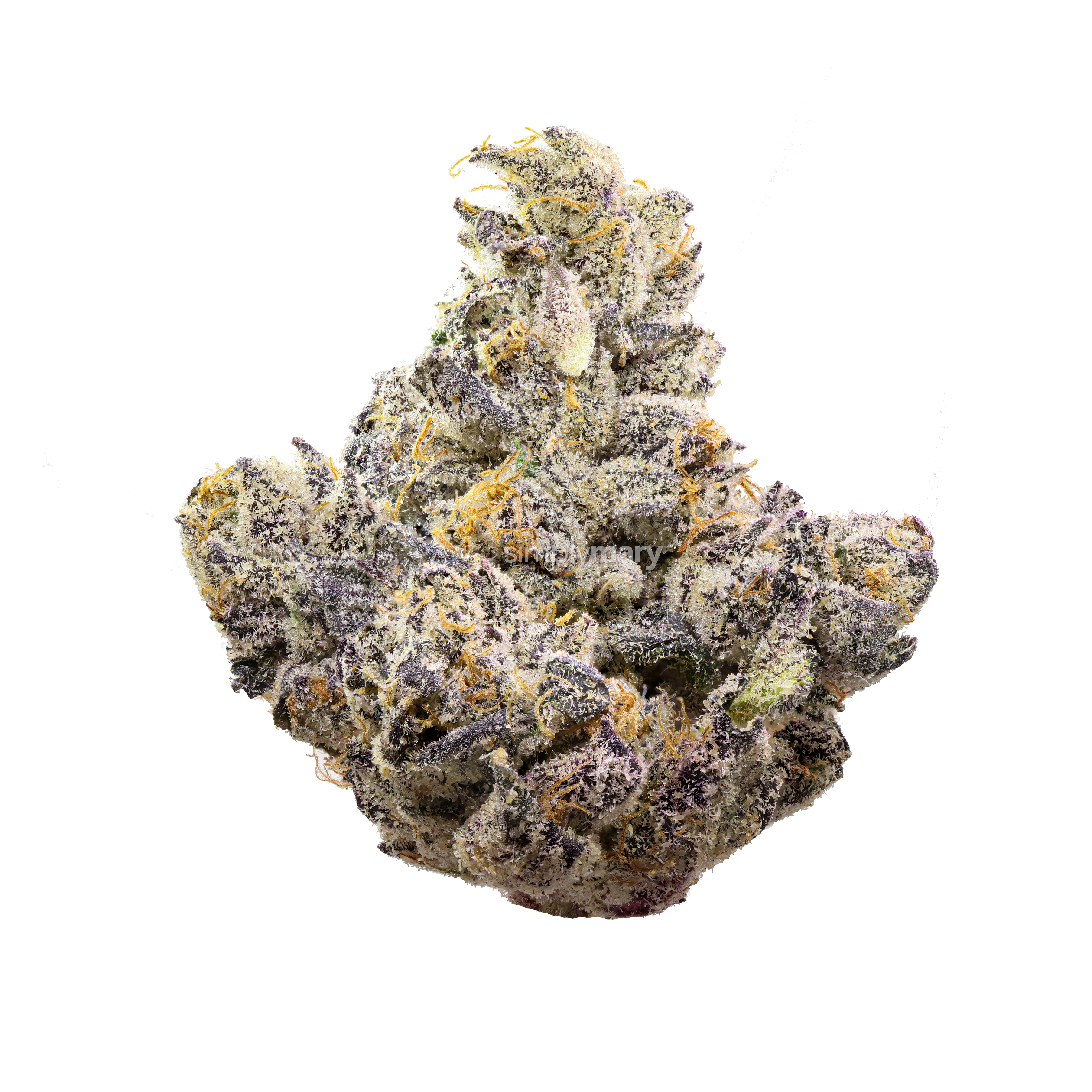 guala berries thca flower simply mary hello mary