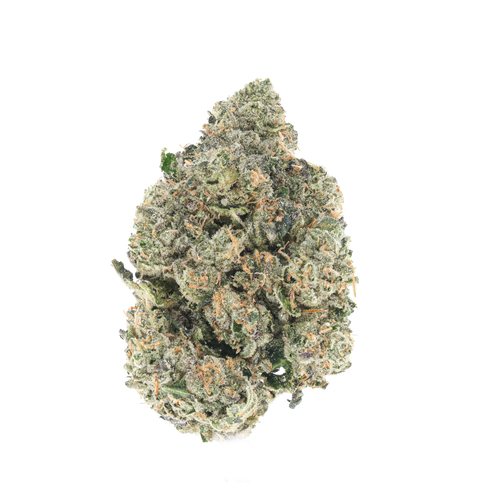Headband Toad