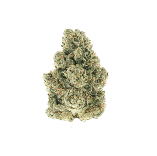 Kami Kush