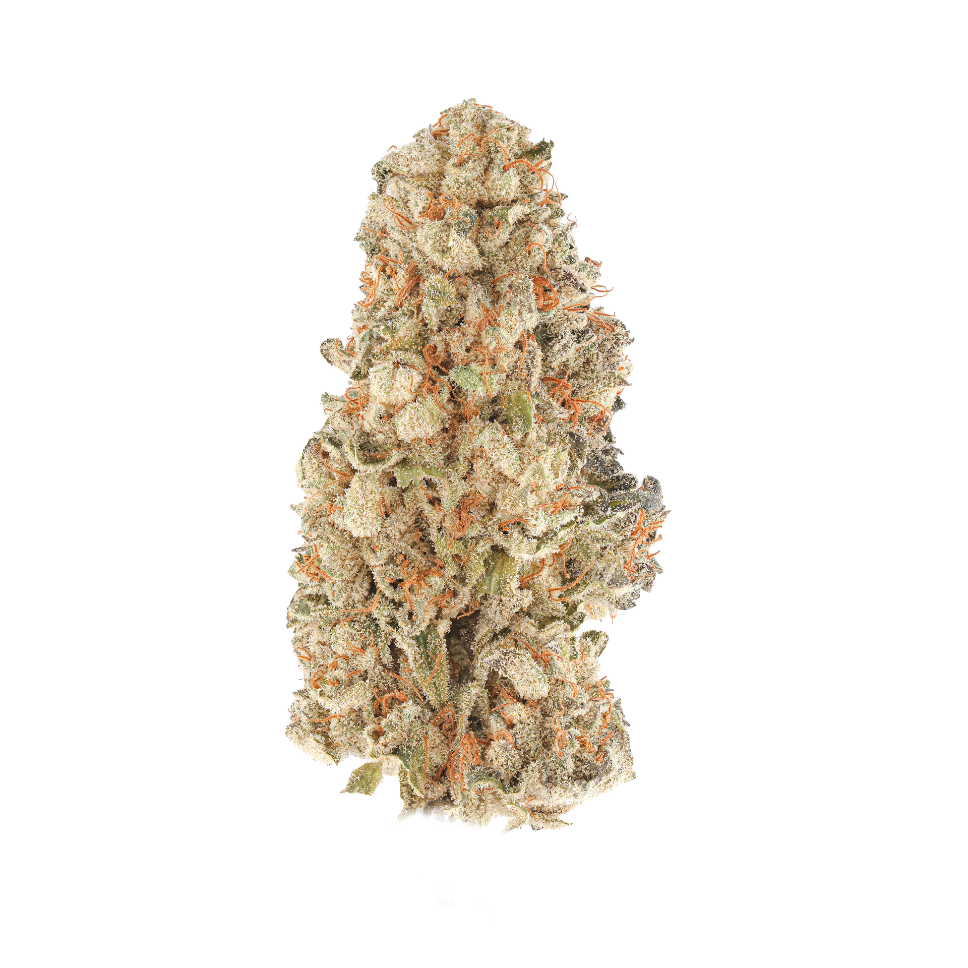 Matcha Mochi #15 – SimplyMary