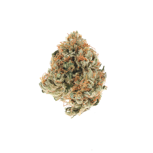 Orca OG