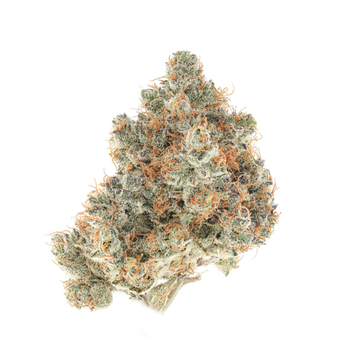 Pi-Chew #3