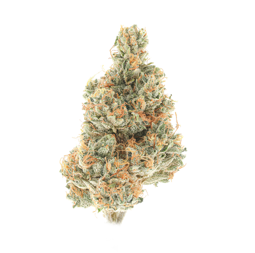 Pi-Chew #9