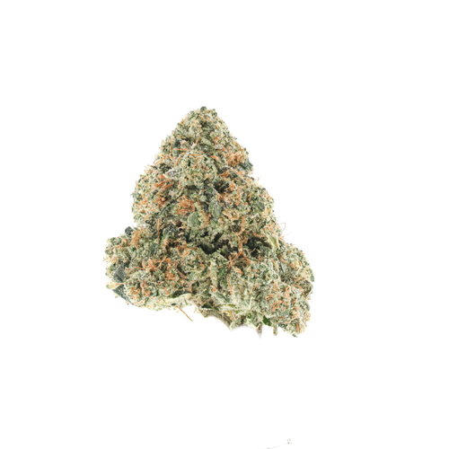 Pine Zikagi