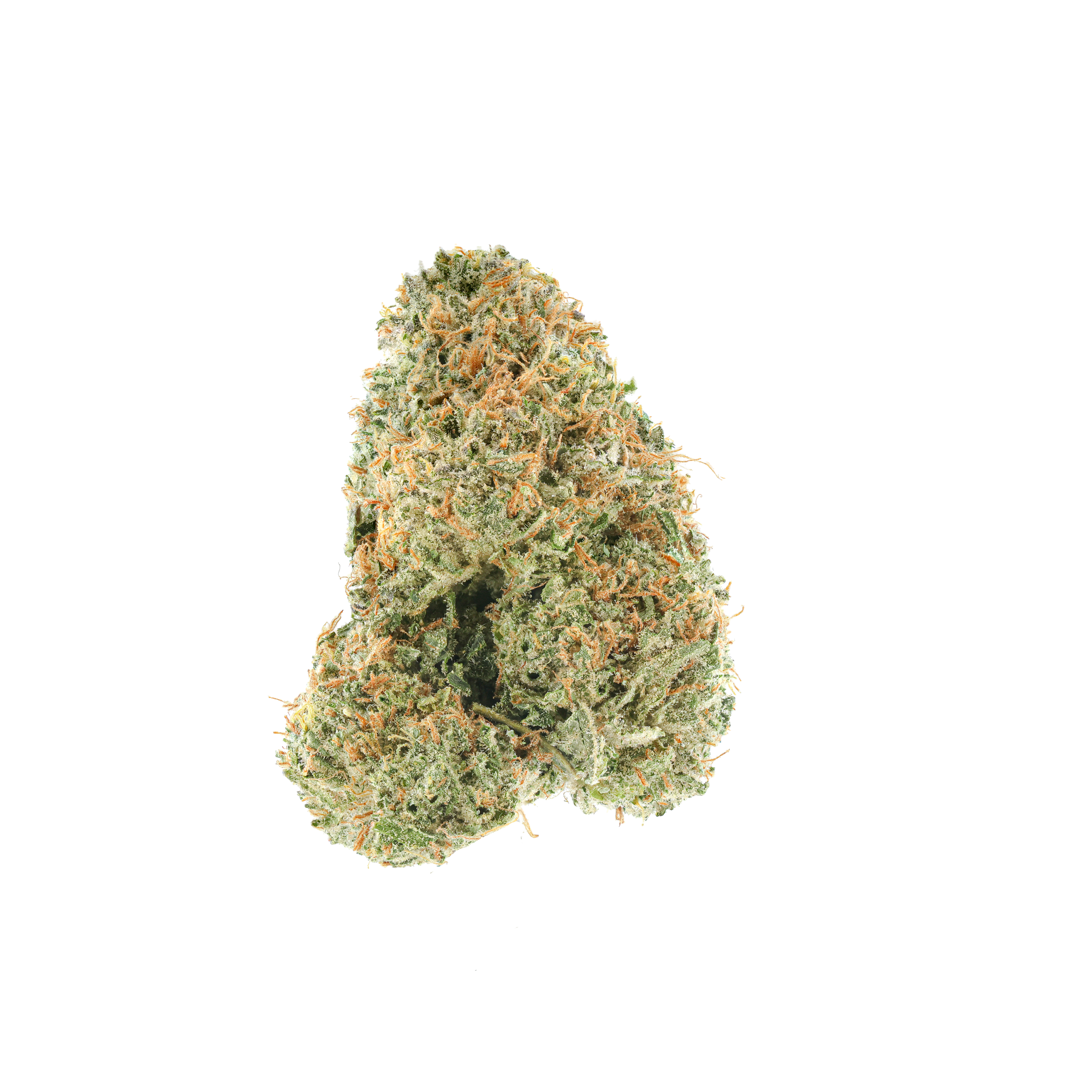 Pot Of Z