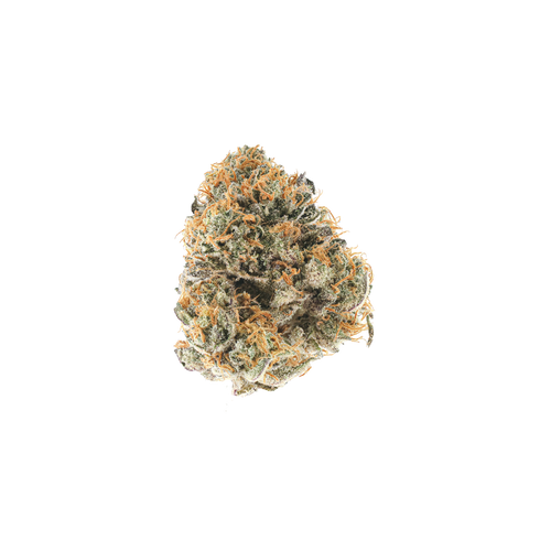 Rainbow Sherbert