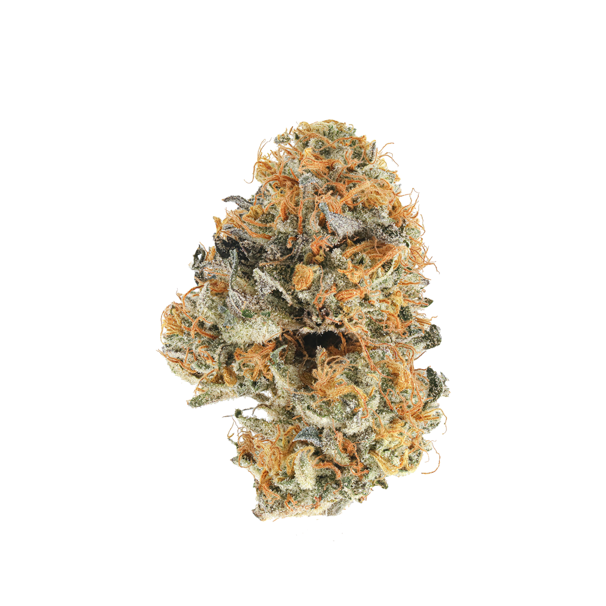 RS11 SimplyMary thca