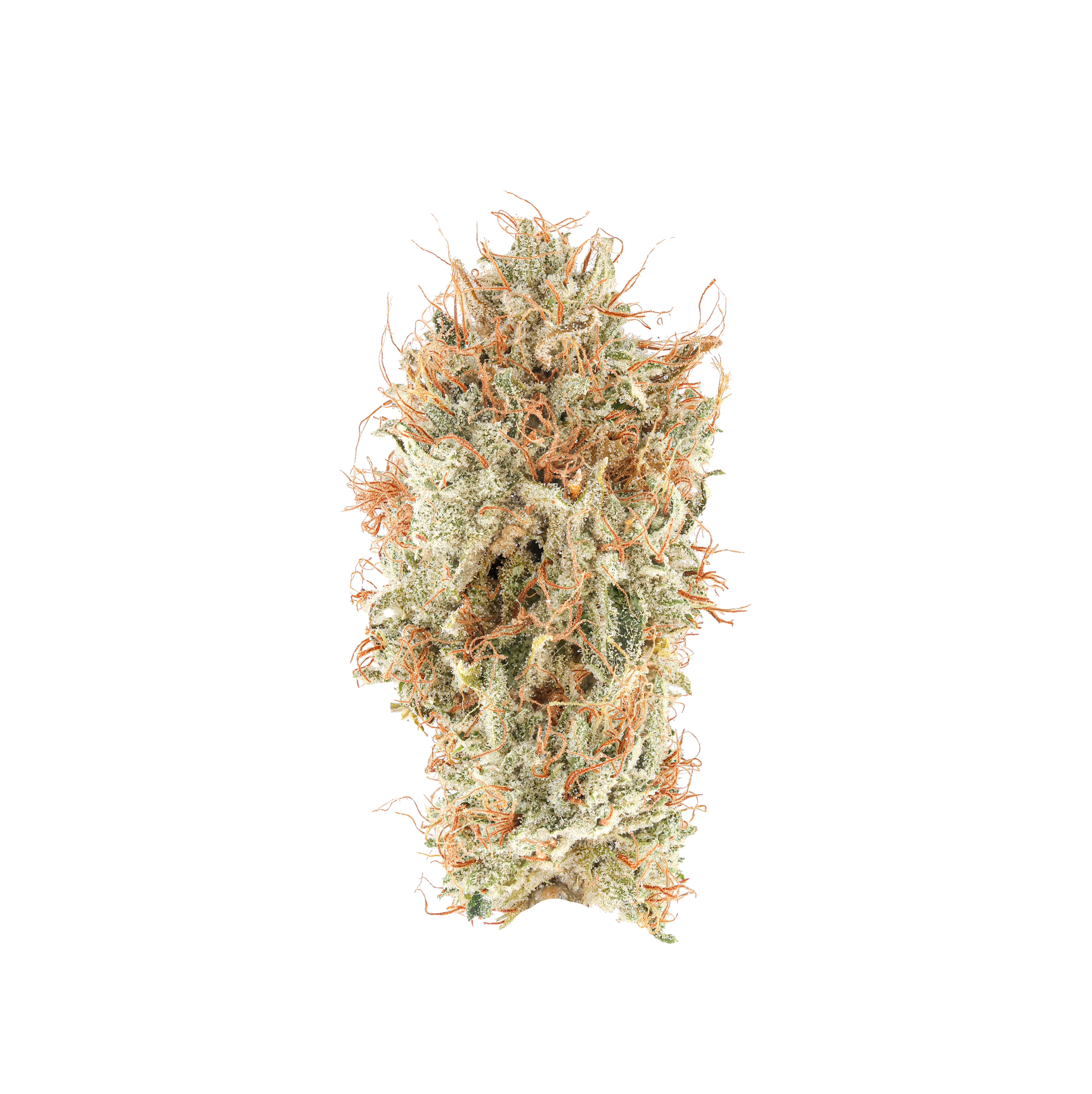 Starburst OG