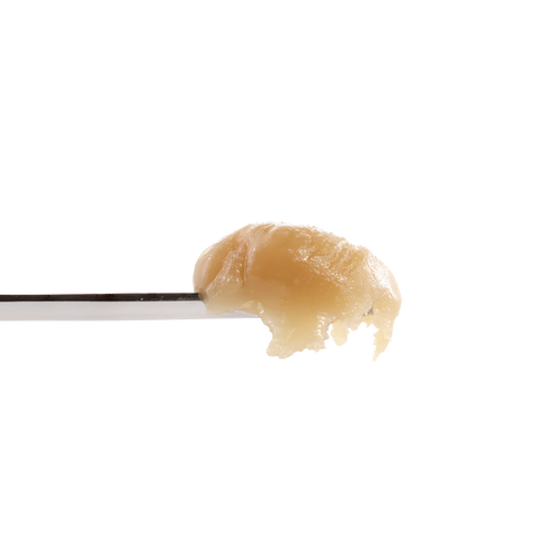 Terple Rosin