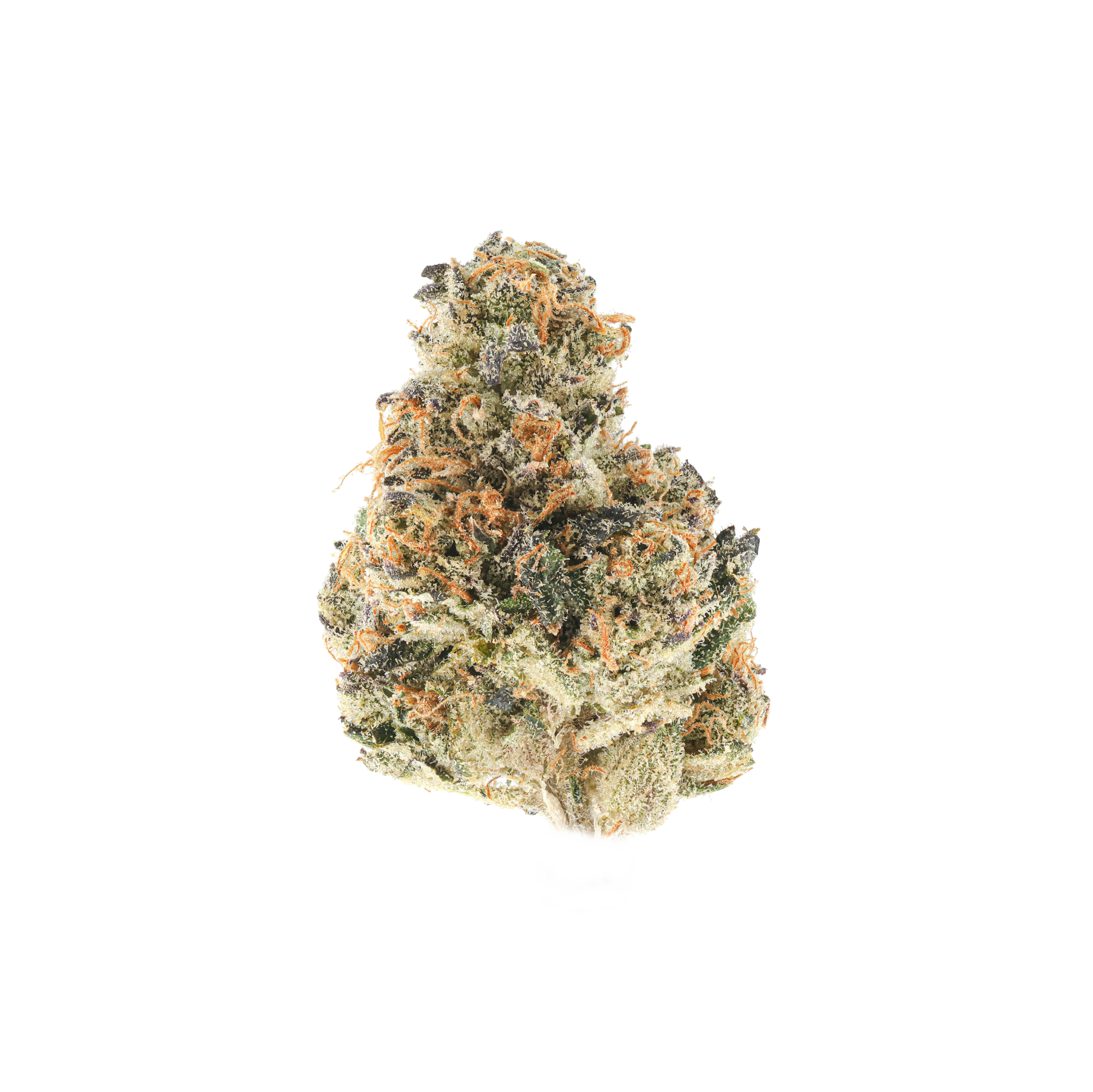 Terpo Chico Tangerine