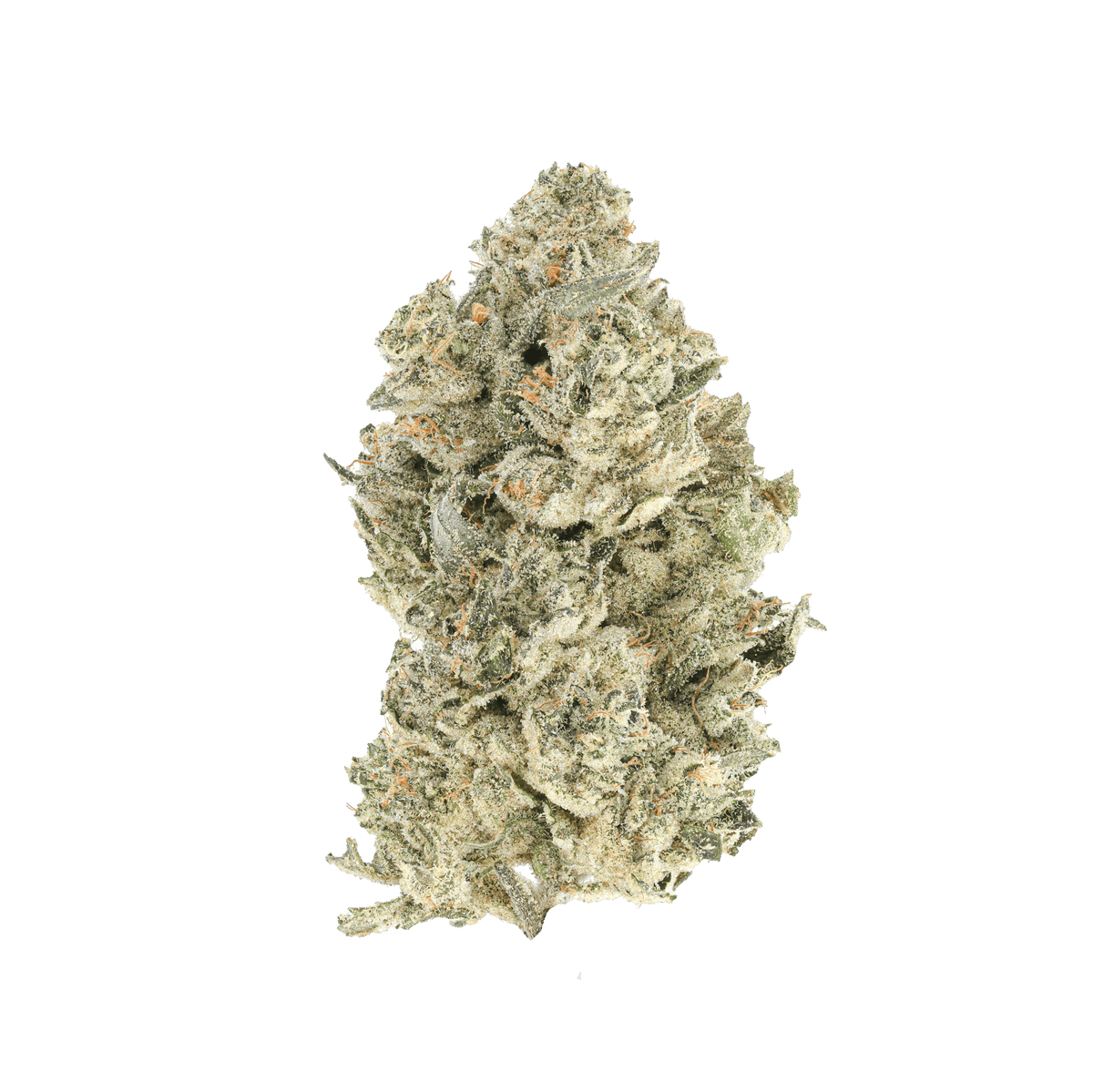 Toad Venom THCa Flower by Hall Of Flames | SimplyMary