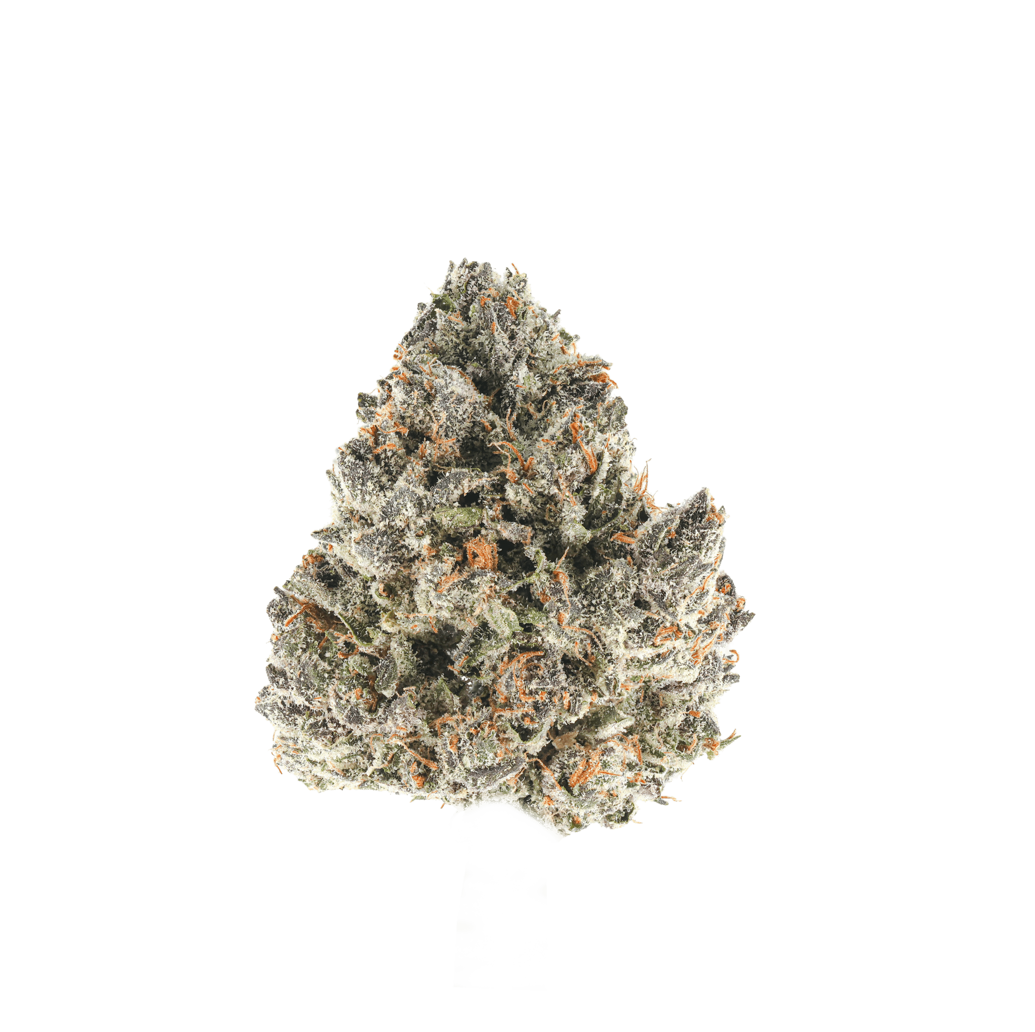 Watermelon Z
