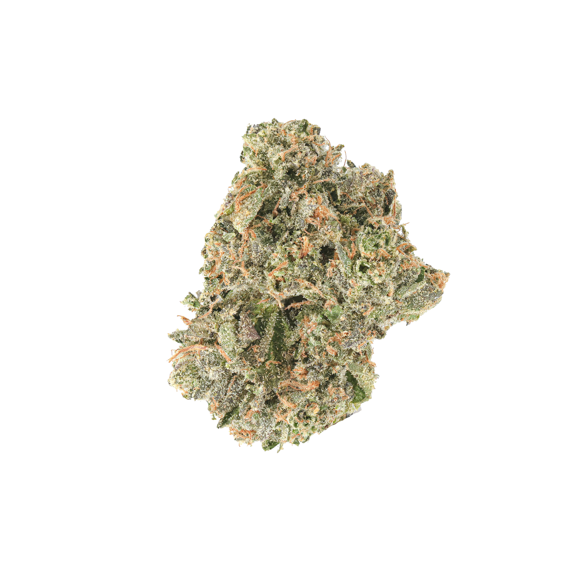 zlimez.png?v=1765387552&width=1920