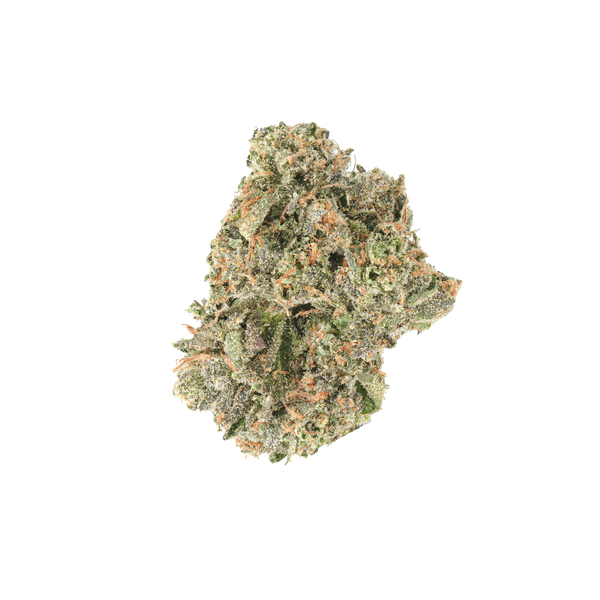 キラキラグリーンガラパイlumpy zlimez_grande.png?v=1765387552