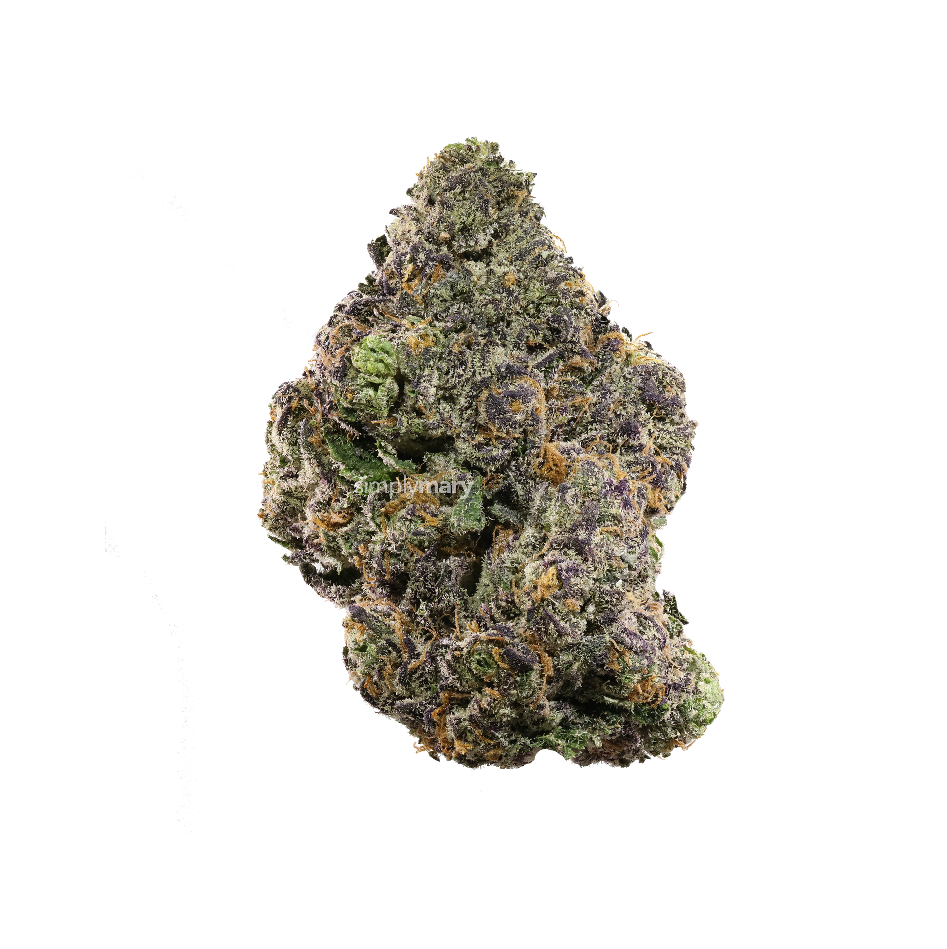 zushi-simply-mary-thca-1.png?v