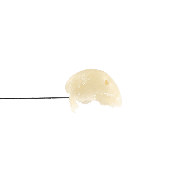 Panettone Rosin