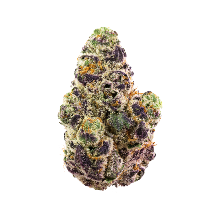 simply mary thca flower glitter bom