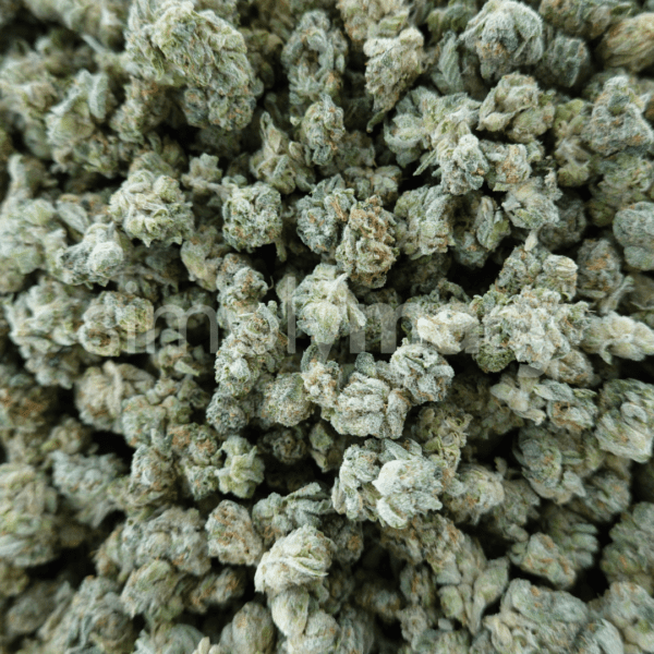 BERRY WHITE simplymary thca flower