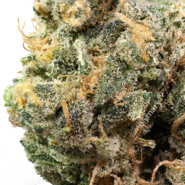 Blue Dream - Image 2